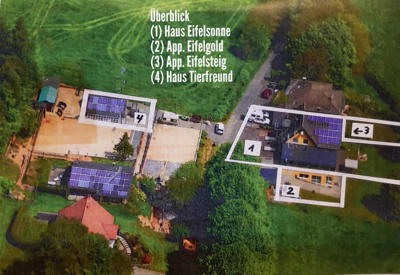 Appartement Eifelsteig Hollerath Eksteriør bilde